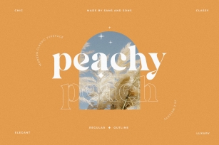 Peach - Modern Chic Serif Font Download