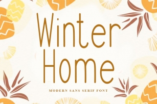 Winter Home | Modern Sans Serif Font Font Download