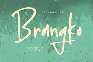 Brangko | A Handwritten Font Font Download