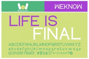 Life is Final Font Download