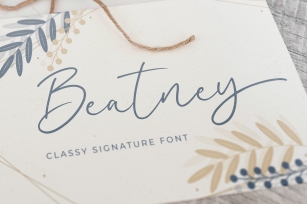 Beatney a Classy Signature Font Font Download