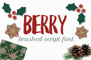 Berry brush handwriting font. Brush textured Font Download