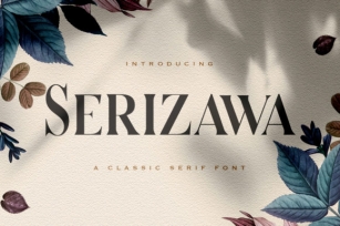 Serizawa Font Download