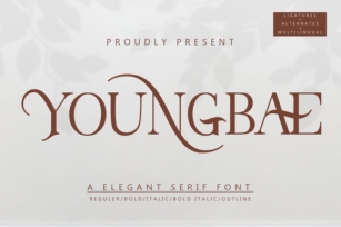 Youngbae Font Download