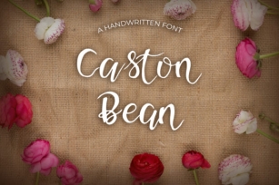 Caston Bean Font Download