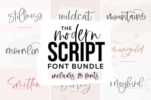 Modern Script Font BUNDLE Font Download