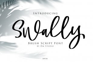 Swally - Brush Script Font Font Download