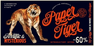 Paper Tiger Font Download