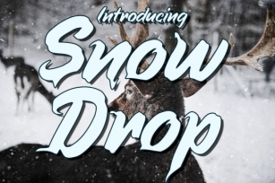 Snow Drop Font Download