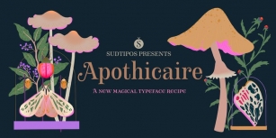 Apothicaire Font Download