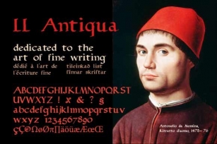 LL Antiqua Font Download