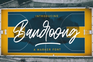 Bandoong | Modern Script Font Font Download