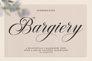 Bargiery Script Font Download