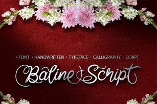 Baline Script Font Font Download