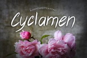 Cyclamen Font Download