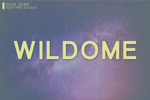 Wildome Font Download