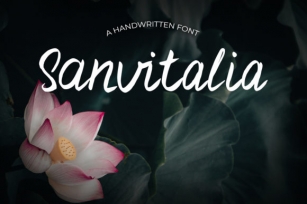 Sanvitalia Font Download