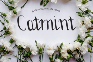 Catmint Font Download
