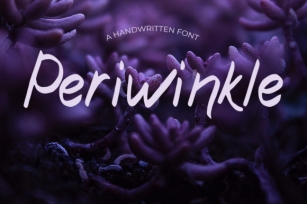 Periwinkle Font Download