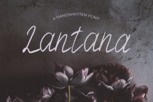 Lantana Font Download