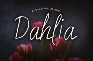 Dahlia Font Download