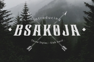 Bsakoja Typeface Font Download