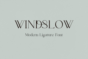Windslow Modern Ligature Serif Font Font Download