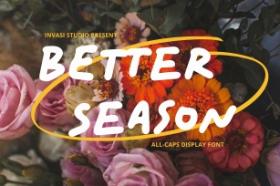 Better Season | Display Font Font Download