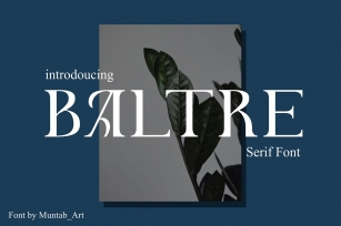 Baltre | Modern Serif Font Font Download