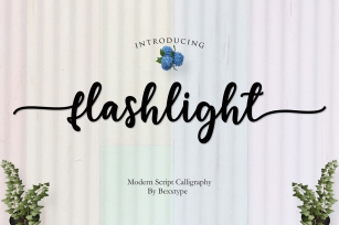 NEW Flashlight Script | Calligraphy Font Download