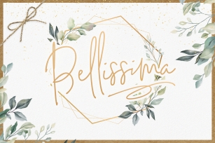 Bellissima Signature Script Font Font Download