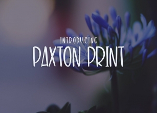Paxton Print Font Download