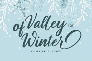Valley of Winter- A Calligraphy Font Font Download