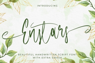 Enstars Beautifull - Handwritten Font Font Download