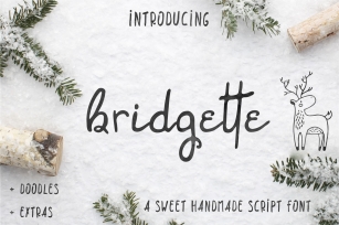 Brigette script font + Woodland doodles Font Download