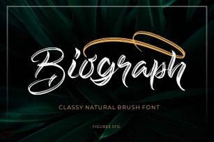 Biograph - Brush Font Font Download