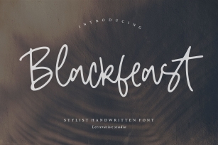 BlackfeastStylist Handwritten Font Font Download