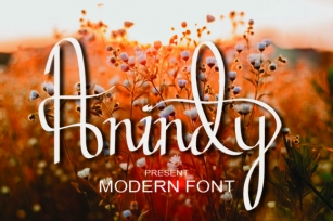 Anindy Font Download