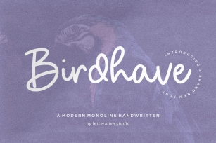 Birdhave Modern Monoline Handwritten Font Font Download
