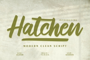 Hatchen | Modern Clean Script Font Download