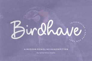 Birdhave Font Download