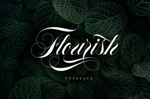 Flourish Typeface Font Download