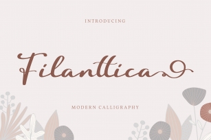 Filanttica | Modern Calligraphy Font Font Download