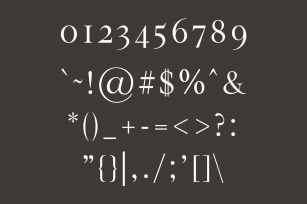 Hughe Serif Font Family Font Download
