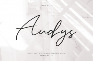 Audys - Elegant Script Font Font Download