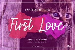 First Love + 30 Brush Vector Font Download