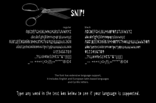 SNIP! Font Family Font Download