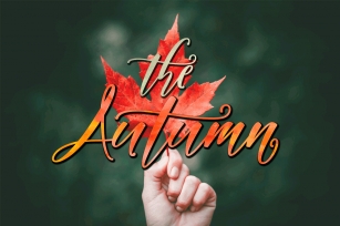 Autumn Script Font Download