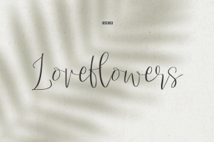 Love Flowers Script Font Font Download