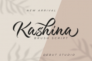 Kashina Brush Script Font Download